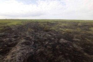 У Луцькому районі за підпал трави на три тисячі оштрафували чоловіка