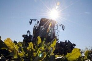 Фермери судяться з урядом через глобальне потепління