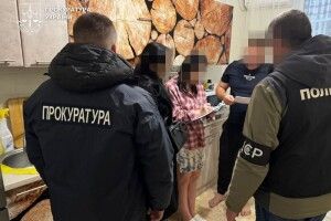 На Волині викрили махінації з вугіллям для ліцеїв