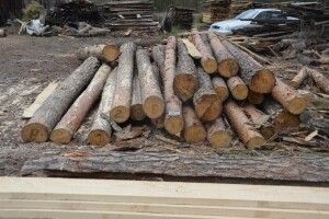 У двох селах на Ковельщині вилучили незаконну деревину (Фото)