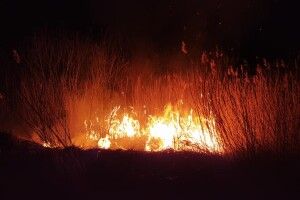 На Камінь-Каширщині уночі замість святкувати Паску, люди кинулися гасити пожежу