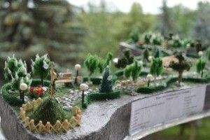 Волинські лісівники оголосили конкурс на найкращий проект дендропарку