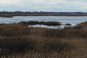 Другу добу шукають чоловіка, який не повернувся з риболовлі (Фото)