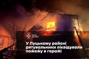 У Луцьку через недолік конструкції димаря спалахнула господарська споруда