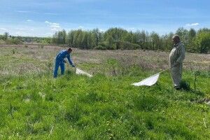 Кого варто остерігатися на волинських стежках та городах