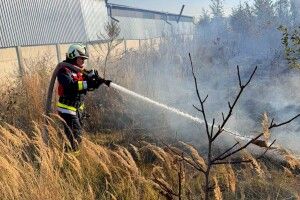 Один сірник – і палають гектари: на Волині ліквідували пожежу сухостою