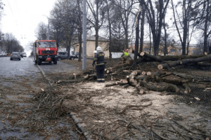 Стихія принесла рівнянам багато клопотів