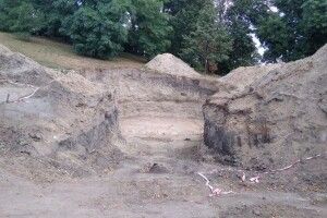 На Житомирщині хотіли встановити флагшток і викопали кістки мамонта (Фото)