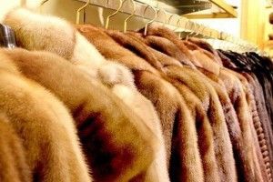 Харківська рецидивістка винесла з магазину хутряних виробів... три норкових шуби у дамській сумочці