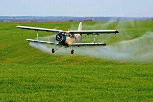 На Сумщині розбився «кукурузник» 