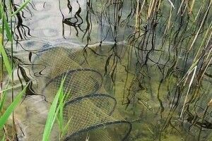 У водоймах нацпарку на Волині знайшли браконьєрські сітки і ятери