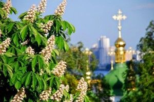 «Знов зацвітуть каштани!»: «Динамо» перемагає «Астану» й виходить у «єврокубкову весну» (відео)