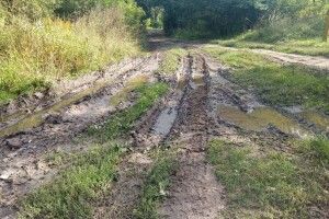 Мешканці селища цегельного заводу у Володимирі «тонуть» у багнюці на дорогах (Фото, відео)