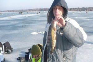 «Фішка» з кубком,  «Неімущі та малопитущі» трохи відстали, а «Будьмо!» святкували третє місце