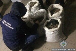 У Рівному вилучили бурштину на мільйон гривень