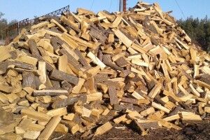 Чи підвищаться ціни на дрова для населення на Волині