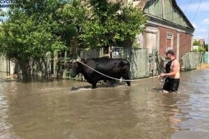 П'яні рашисти не дали евакуюватись людям із затопленого села: яка ситуація на фронті на вечір 7 червня