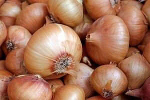 В Україні помітно подорожчала ріпчаста цибуля