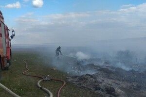 Сьогодні на Волині вигоріло 4 гектари
