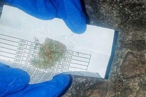 Луцькі нацгвардійці затримали двох чоловіків із наркотиками