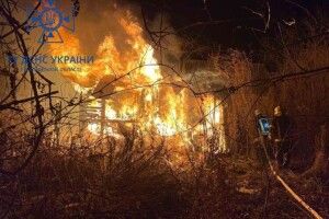 Рятувальники ліквідували пожежу поблизу Ковеля