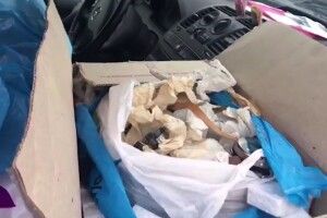 Прикордонники виявили посилку з радіоактивними компасами (відео)