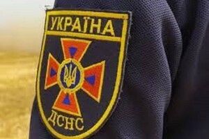 На Волині на дорогу впало дерево
