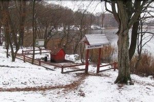 Будуть нові ліси на Камінь-Каширщині