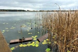 У нацпарку на Волині вандали на мотоциклах потрощили інфраструктуру екостежки