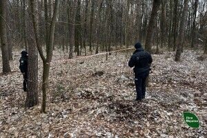 Лісник натрапив на бойову гранату (Фото)