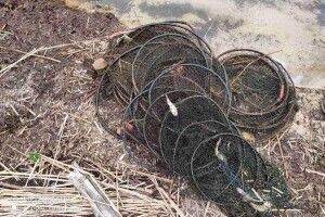 На водоймах нацпарку на Волині вилучено браконьєрські знаряддя лову