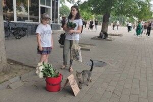 На Волині донечка захисника України  продаватиме квіти, щоб зібрати гроші  татові на  «Мавік»