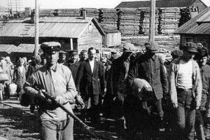 На Волині планують розпочати ексгумацію останків жертв репресій