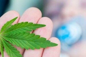 У Вашингтоні роздаватимуть марихуану біля пунктів вакцинації