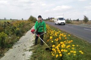 Відомого волинянина, який садить на дорогах квіти, збив мотоцикл