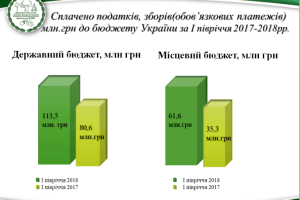 За півроку волинські лісівники заплатили 155 мільйонів податків