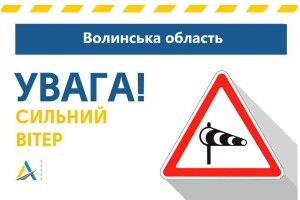 Волинських водіїв попереджають: тримайтеся подалі від рекламних щитів, ліній електропередач і високих дерев