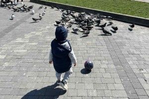 М'ячик, який загубив малюк у центрі Луцька, вдалося розшукати завдяки соцмережам