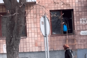 Лучанка потрапляє до квартири дивним способом (Відео)