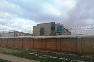 Знахідка у колонії насмішила найдосвідченіших поліцейських (Фото)