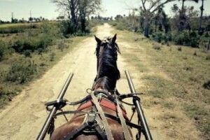 У Володимир-Волинському районі загинули батько із сином