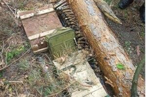 У лісі на Волині біля кордону з Білоруссю виявили покинутий арсенал зброї