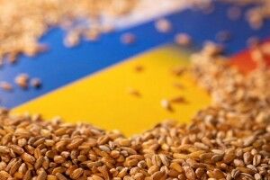 Польща розблокувала транзит українського зерна 