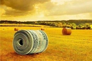 Студенти з Волині, Львівщини та Рівненщини зібралися на свою раду у Горохові