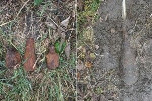 Жителі Рівненщини знайшли іржаві гранати і мінометну міну
