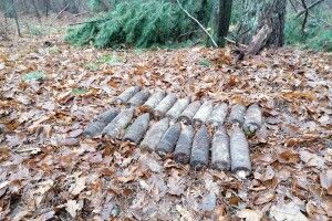 На Волині «чорні археологи» знайшли 19 артснарядів і підкинули їх в інше місце