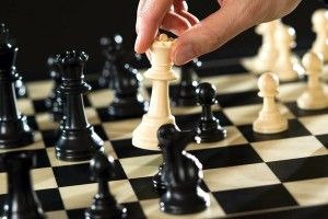На Василя у Луцьку змагатимуться слони і не тільки