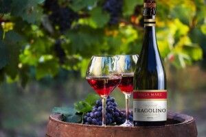 Винні напої Fragolino, які виробляють в Україні, не відповідають заявленому складу 
