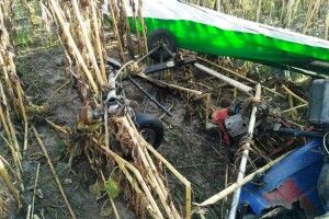 Упав дельтаплан, який здійснював обробку соняшника (Фото)