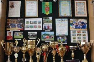 У Любомльському краєзнавчому музеї відкрили спортивну виставку